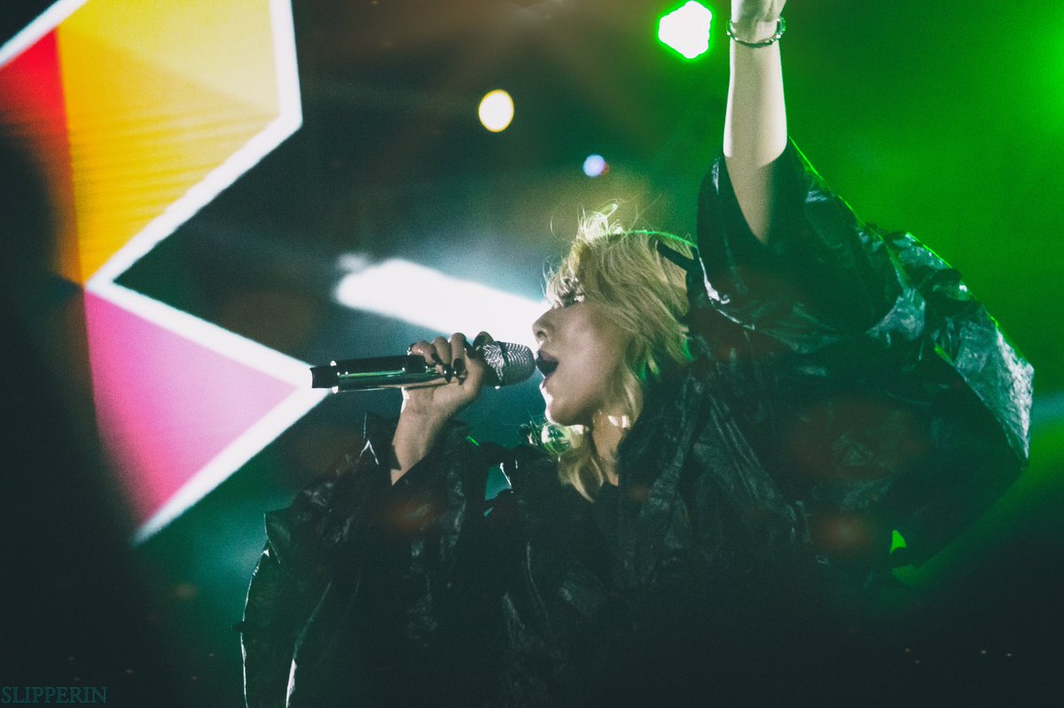 SLIPPERIN tweet media