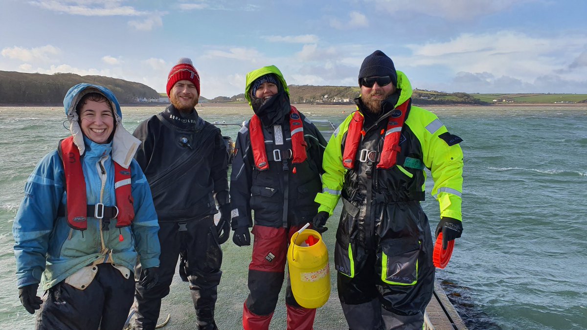 Today we have finally done it.....

We have started to plant 1 million seagrass seeds in West Wales 

#teamseagrass out on the Dale pontoon in mid February in a 44mph chilling wind and hail storms 

#marinebiologistsrock 

Onwards and upwards