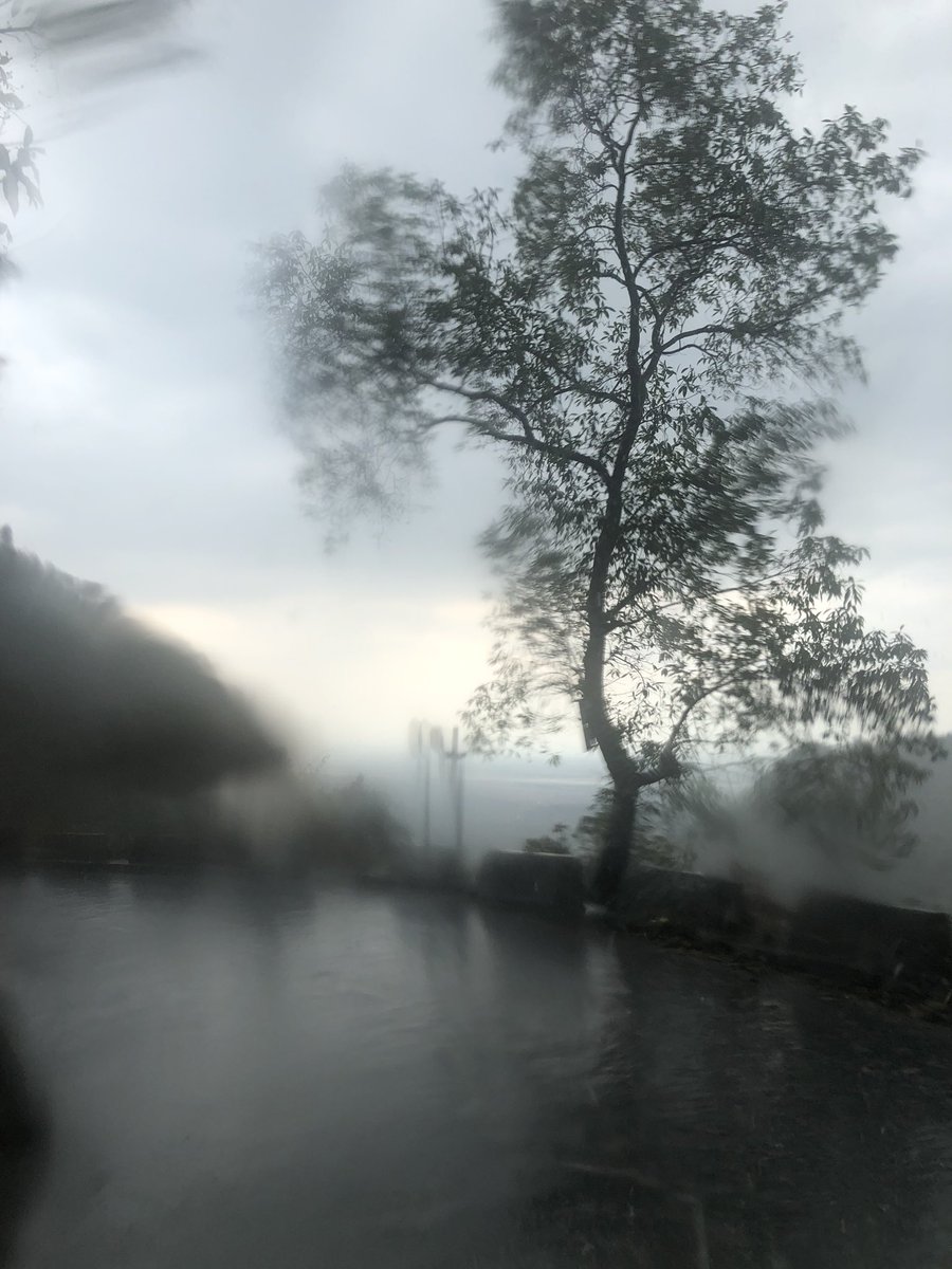 darjeelingteas's tweet photo. We had a day full of rain today here in https://t.co/fhaypYPr3u was much required for the 1st flush 2020 darjeeling tea harvest.Hopefully we will have an excellent harvest this year🤞🏻
#teaemporium #1stflush2020 #springharvest #worldoftea #tealovers #tealiversaroundtheworld https://t.co/dFxxzpPfdV