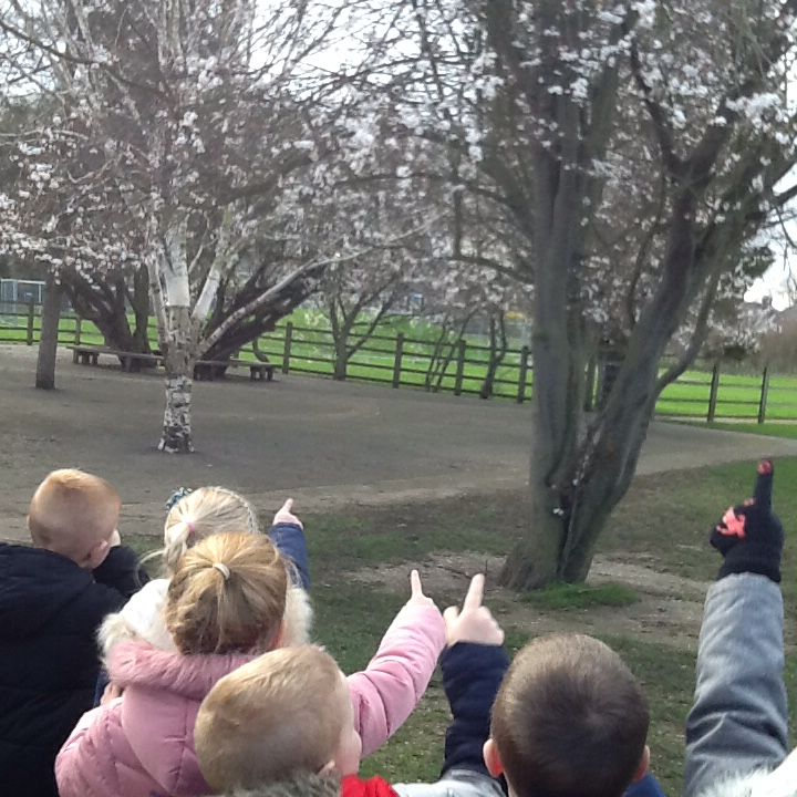 EndikeYear1's tweet photo. Year One Science this term is Plants, we found lots of signs of Spring to get us hooked! @EndikePrimary #endikescience https://t.co/MXQUMBHaYX