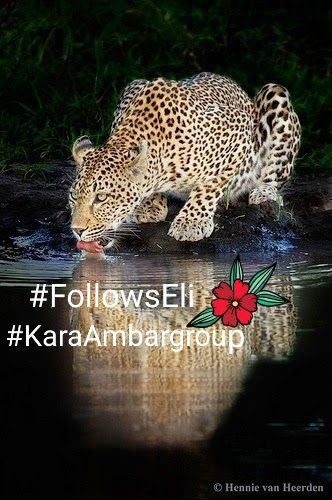 ◄থৣ💖Gain List💖থৣ►
►#FollowsEli 
►#KaraAmbargroup

►<a href="/Ayhan_525/">♔ (͡° ͜ʖ ͡°) AʏʜᴀɴSᴇᴠɪɴᴄ (͡° ͜ʖ ͡°) ♔</a>
◄@Sudem445
►@brasilgain
◄<a href="/___marcio/">marcio</a>
►<a href="/CcPrens/">Cottoncandy</a>
◄<a href="/bella_xp/">ღBellaღ</a>
►<a href="/Httwit1/">KingTemur</a>
◄ <a href="/Hsnklil/">H. Hassan Khalil</a>
►<a href="/cankoc_48/">Can Koç 🧑🏻‍⚕️👁‍🗨</a>
◄<a href="/lumpie125/">lumpie125</a>
►@tadayokun
◄@S2_CarlaS2
►<a href="/zapp12347/">Crossbourg the only! #1DDrive 🔥#EndSARS 🔥</a>
◄<a href="/shahnaqi84/">🎀SHAN 🎀</a>
►<a href="/AlexMont97/">🐦Alex🌤Angel🍂Montelongo🐦#TSha🍃</a>
◄<a href="/MondStern4/">Mondstern</a>
►<a href="/Mystiquereal/">💎THE REAL MYSIQUE💎</a>