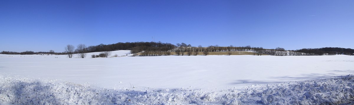 Taking a #Panoramic along the side of Scheppert Road outside of #FortAtkinson #Wisconsin. (2-21-2020) #Snow #ice #Tree #CanonFavPic #CanonBringIt #PanoramicPhotography #photography #nature #NaturePhotography #landscapephotography #landscape #trees #woods #KevinPochronPhotography