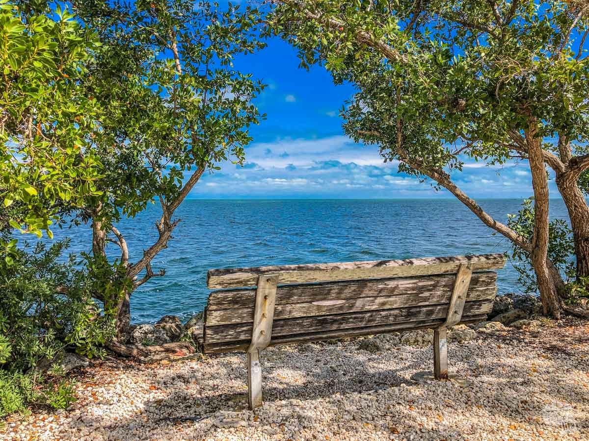 wander_filled's tweet photo. Waking up to 40s & rain already has us wishing we were back at Biscayne NP enjoying the warm breeze and gorgeous water. We took tons of pictures so stayed tuned for more.
#FindYourPark #BiscayneNationalParkInstitute #BiscayneAdventures #KeepBiscayneBeautiful #LoveFL https://t.co/WWeNyUvfuy