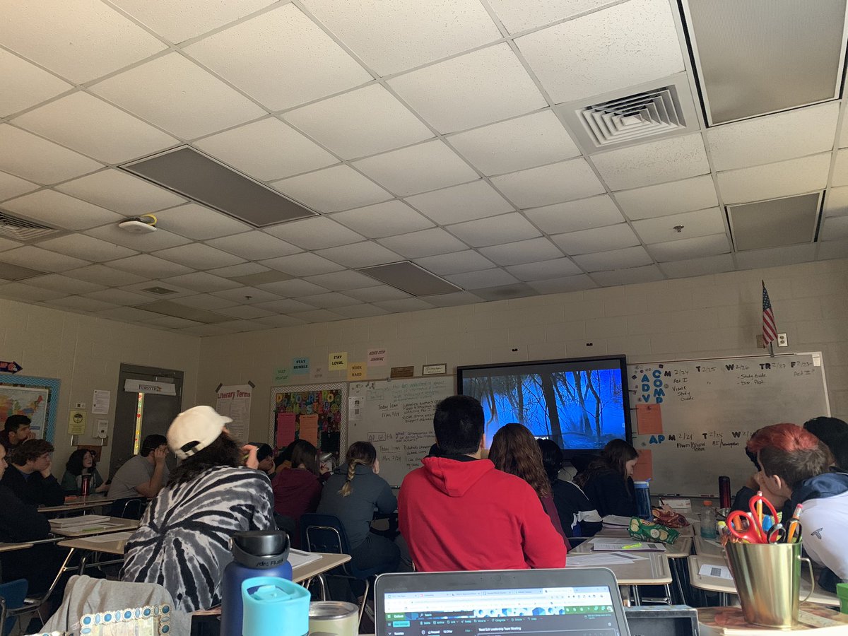 Anne-Rose Loureiro, PhD tweet media