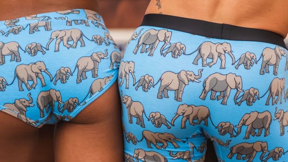 MeUndies on X: We're addressing the elephant in the room, and yes, it's on  our Undies. Check out our new print, Elephants 🐘    / X