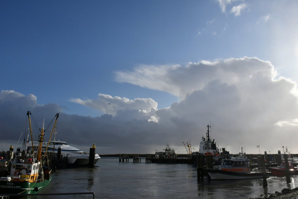 SytseSchoustra's tweet photo. #Cumulonimbus, #aambeeld #buien #Terschelling https://t.co/PHvhHfmZyK