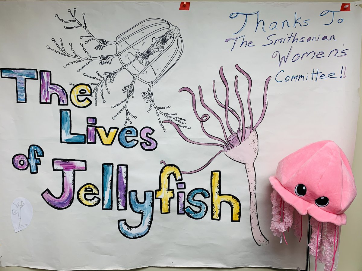 InvertebratesDC's tweet photo. IZ has been supported by @CraftShowSWC for the last year to inspire learning, enhance our jellyfish capabilities, and build new knowledge! Visit their Craft Show April 23-6 so they can do more good work. https://t.co/nLO6gqcEYn…
#SmithsonianCraftShowsSWC https://t.co/5PzJI5UvJ3