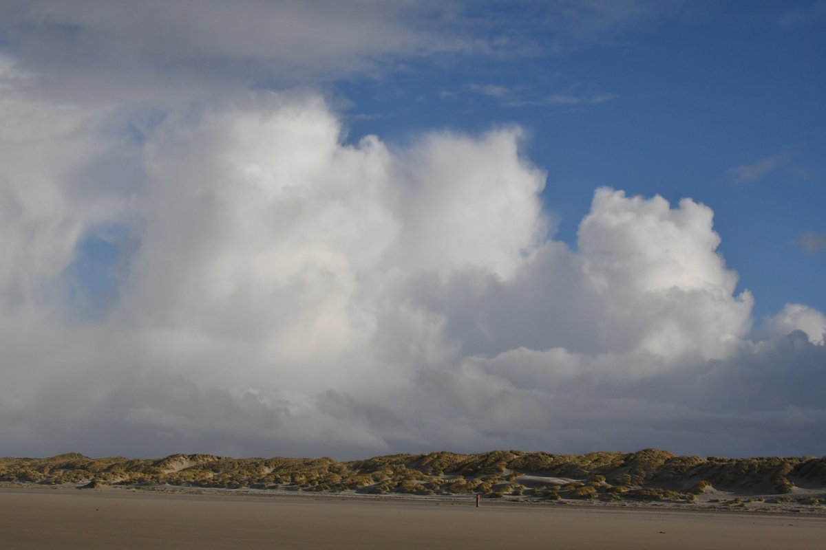 SytseSchoustra's tweet photo. #Cumulonimbus, #aambeeld #buien #Terschelling https://t.co/PHvhHfmZyK
