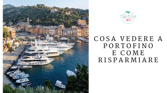 Selene Scinicariello tweet media