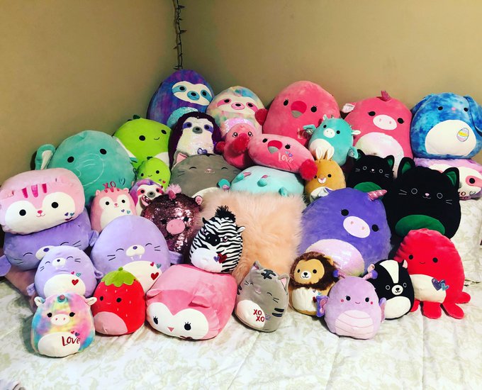 The whole #squad is awake and accounted for this morning! @squishmallows #sharemysquad #squishmallows