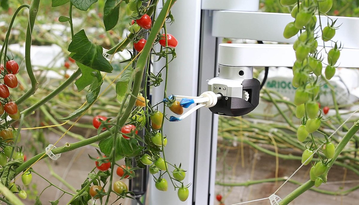 Root AI (@rootrobots) on Twitter photo Thank you Chris Higgins at <a href="/HortAmericas/">Hort Americas</a> for a great article highlighting the role that #AI & #robotics companies, like Root, play in transforming #agriculture in 2020 and beyond
bit.ly/3a7wZuV Thank you Chris Higgins at <a href="/HortAmericas/">Hort Americas</a> for a great article highlighting the role that #AI & #robotics companies, like Root, play in transforming #agriculture in 2020 and beyond
bit.ly/3a7wZuV
