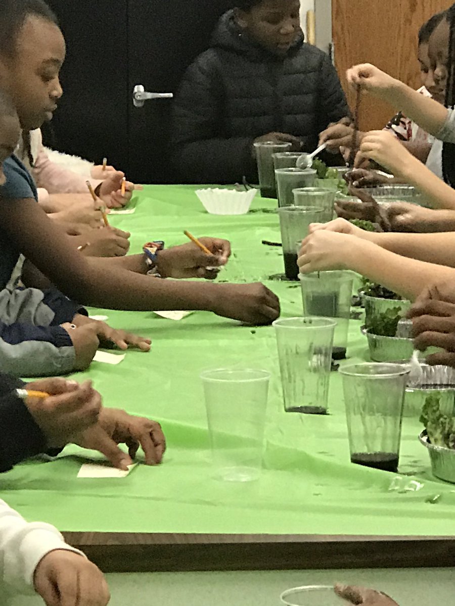 Riekhof’s  fourth grade class trying different materials to clean up the simulated oil spill in the STEM LAB.  #ic1920, ⁦@IC_Explorers⁩, #pictureperfectscience