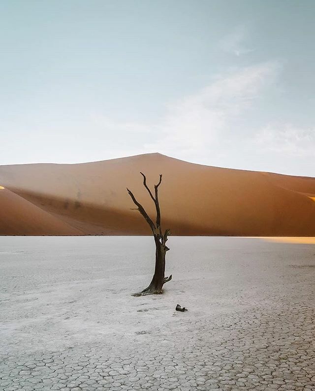 Een mooi rustgevend plaatje van Namibië 😍
📸@jorendejager
.
.
#lonelyplanet #lonelyplanetnl #reizen #reismagazine #reisinspiratie #ontdekken #inspiratie #bucketlist #fotografie #reisfotografie #travel #welivetoexplore #world #explore #namibia ift.tt/3c70qyW