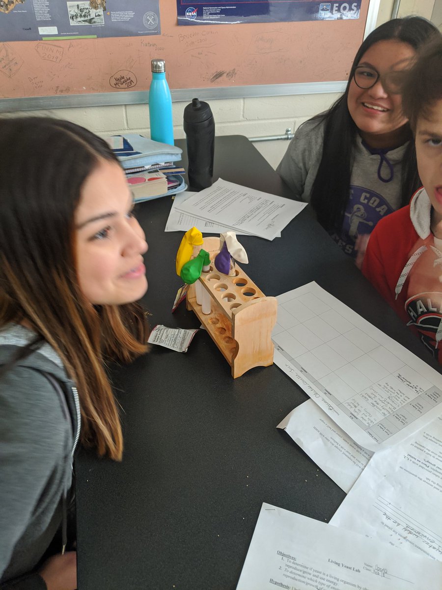 Mr_C009's tweet photo. Meanwhile, the grade 9's @CPJHWildcats have been studying Asexual Reproduction and tried to figure out which environment was best for yeast to reproduce in! @HRCE_NS https://t.co/sHkKpL7VzW