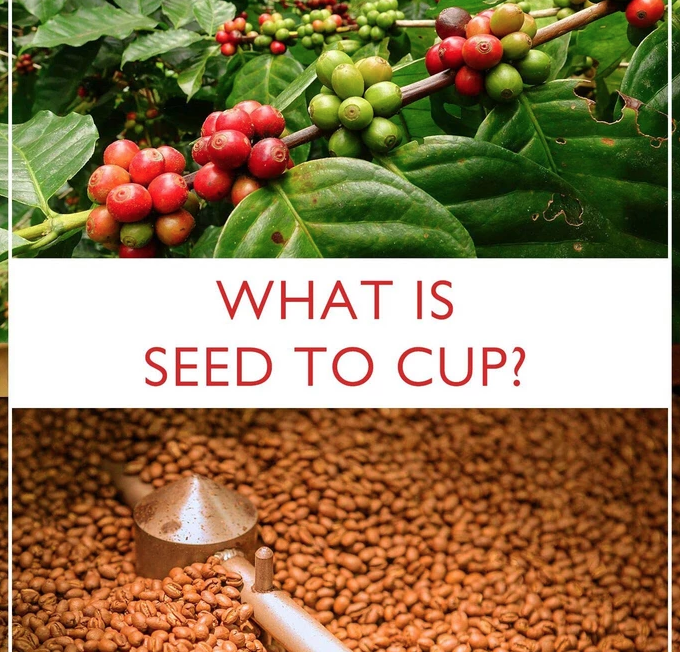 diningmaui's tweet photo. From farm-to-fork to sea-to-table, sustainable dining is unquestionably the culinary experience du jour. https://t.co/kPIQ0jH4pP #seedtocup @#coffeelife https://t.co/c3CijsN1ro
