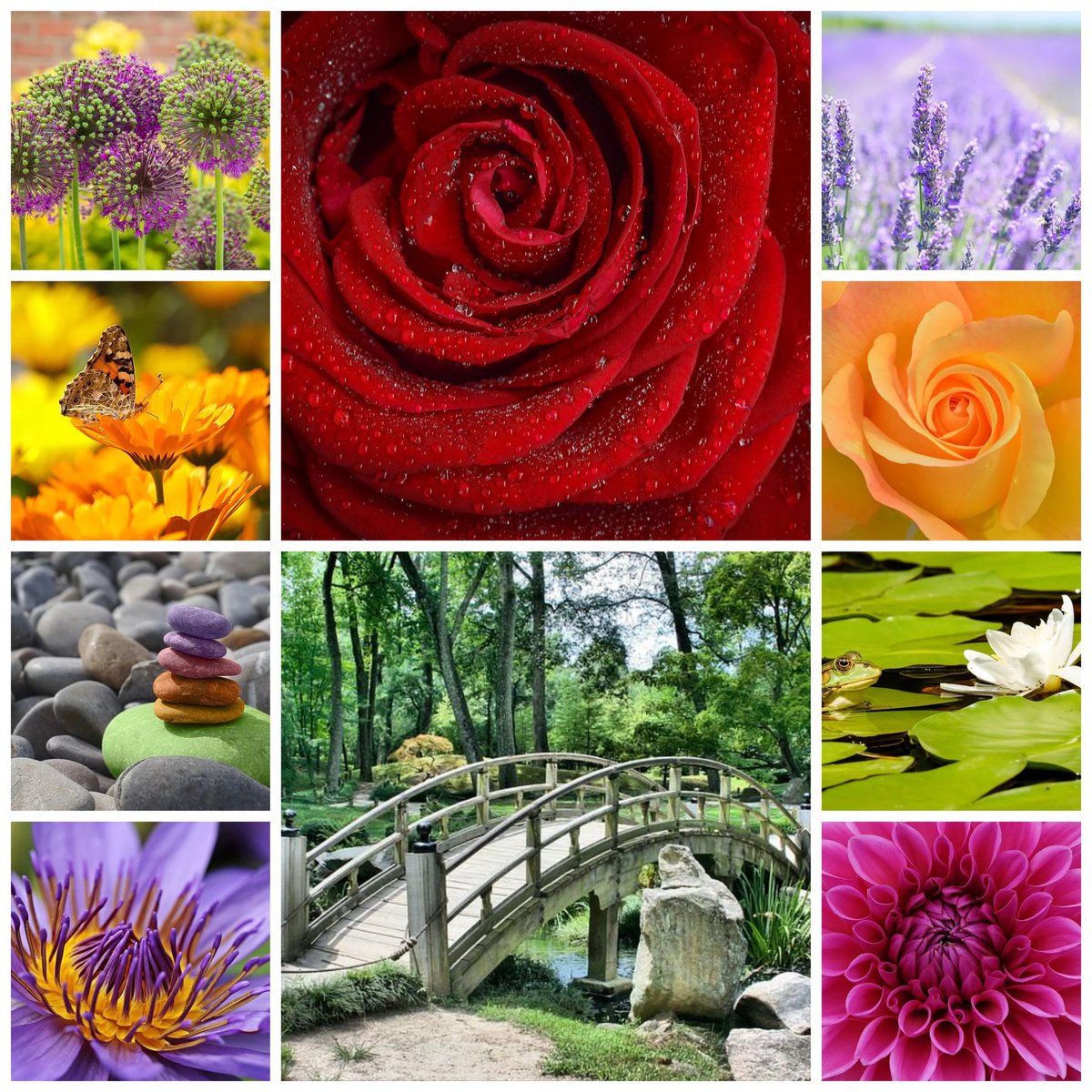 Life is like a garden; we clear, tend, harvest, rest, and start all over again. Selfcare matters. 💕🌹💞
The Gardener By Mary Oliver ( an excerpt) 
Have I lived enough?
Have I loved enough?
Have I considered Right Action enough, have I come to any conclusion? #TuesdayThoughts