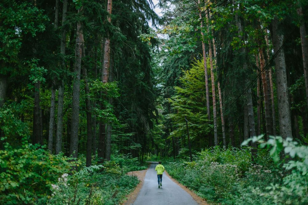 Afzonderlijke bomen vormen samen het bos, afzonderlijke individuen een samenleving. @josvanderlans moedigt ons aan oog te hebben voor de samenhang. Zoek het bos achter de individuen en er gaat een samenleving voor je open #participatielezing2020 buurtwijs.nl/content/door-d…