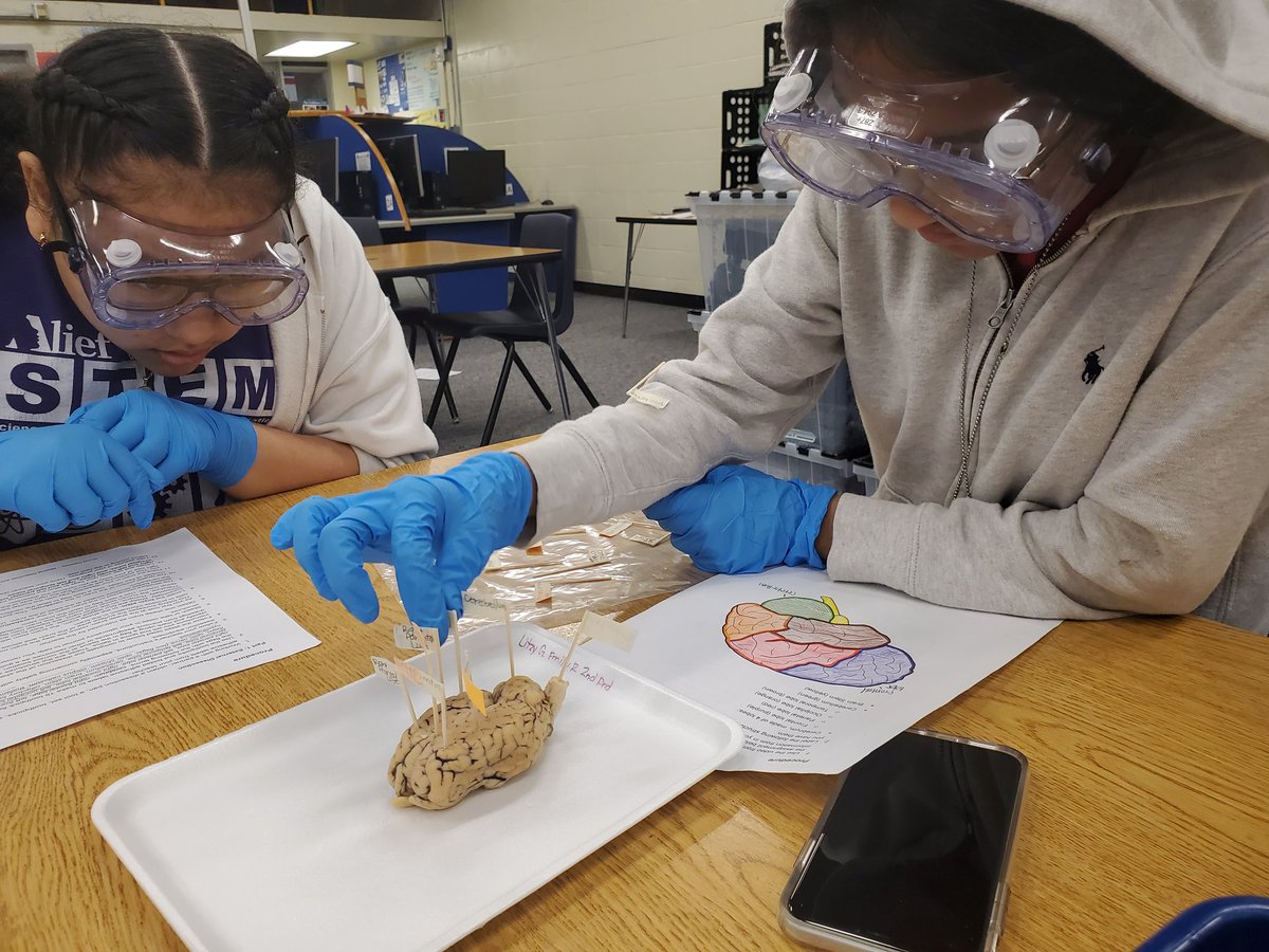 Fascinating+Disgusting=
STEMTASTIC

LOL! Hands on learning about the brain in our elective <a href="/OllePLTWGateway/">Olle PLTW Gateway</a>

<a href="/AliefISD/">Alief ISD</a> <a href="/aliefstem/">Alief STEM</a> <a href="/OlleMightyOwls/">Olle Middle CITGO Innovation Academy</a> <a href="/CITGO/">CITGO Petroleum Corporation</a> <a href="/Fueling_Good/">CITGO Fueling Good</a> #STEMtastic