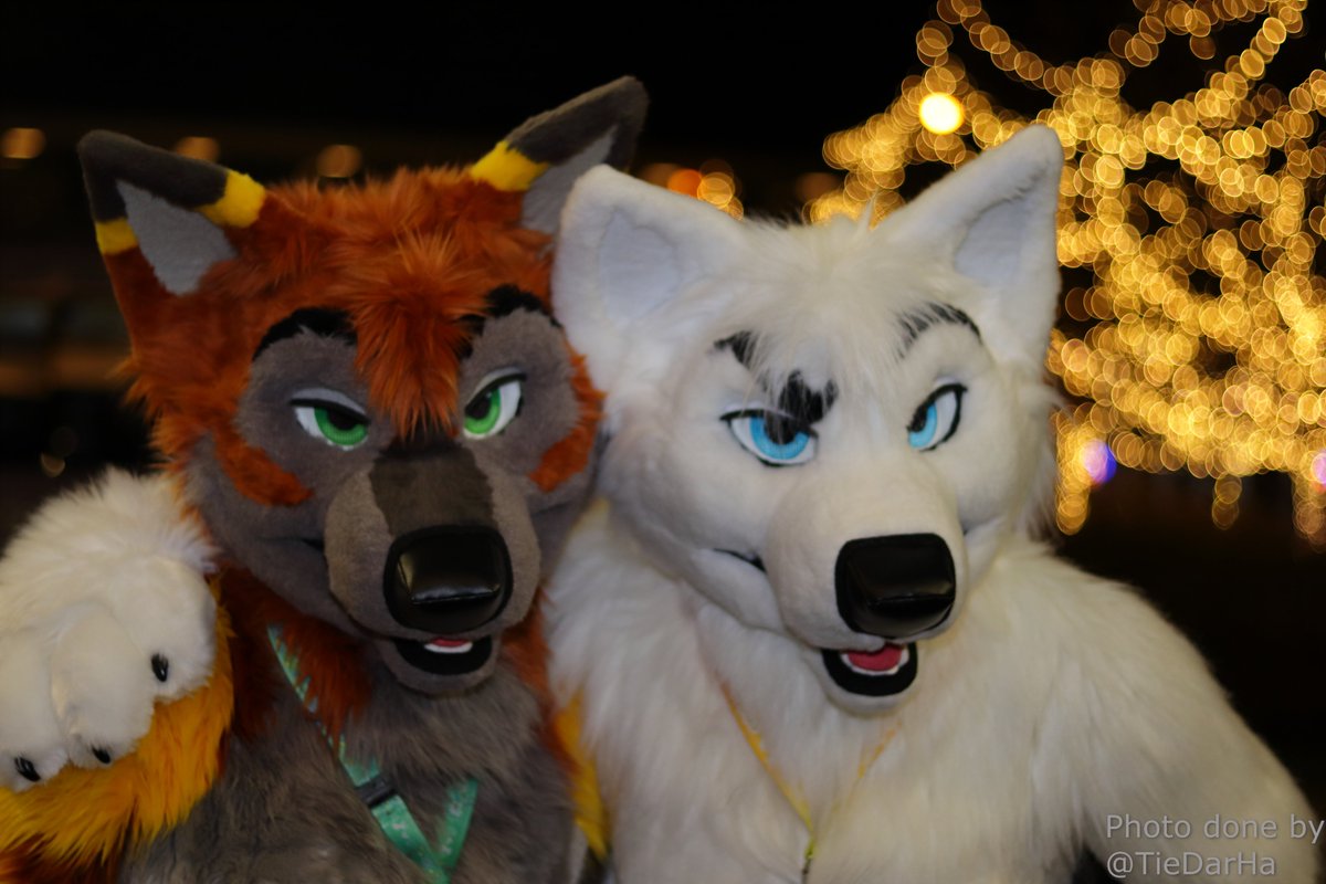 TieDarHa's tweet image. Pictures for: @moonblazewolf @ferricfox @ShiftElement and one unknown to me. Taken at #MFF2013