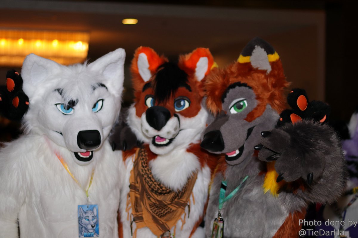 TieDarHa's tweet image. Pictures for: @moonblazewolf @ferricfox @ShiftElement and one unknown to me. Taken at #MFF2013