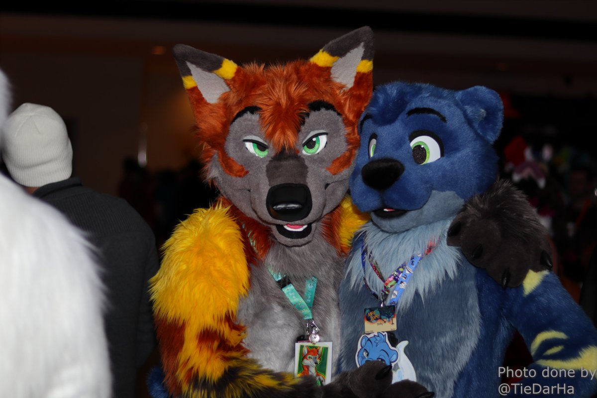 TieDarHa's tweet image. Pictures for: @moonblazewolf @ferricfox @ShiftElement and one unknown to me. Taken at #MFF2013