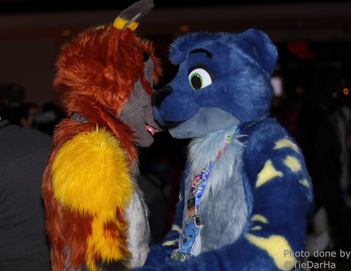 TieDarHa's tweet image. Pictures for: @moonblazewolf @ferricfox @ShiftElement and one unknown to me. Taken at #MFF2013