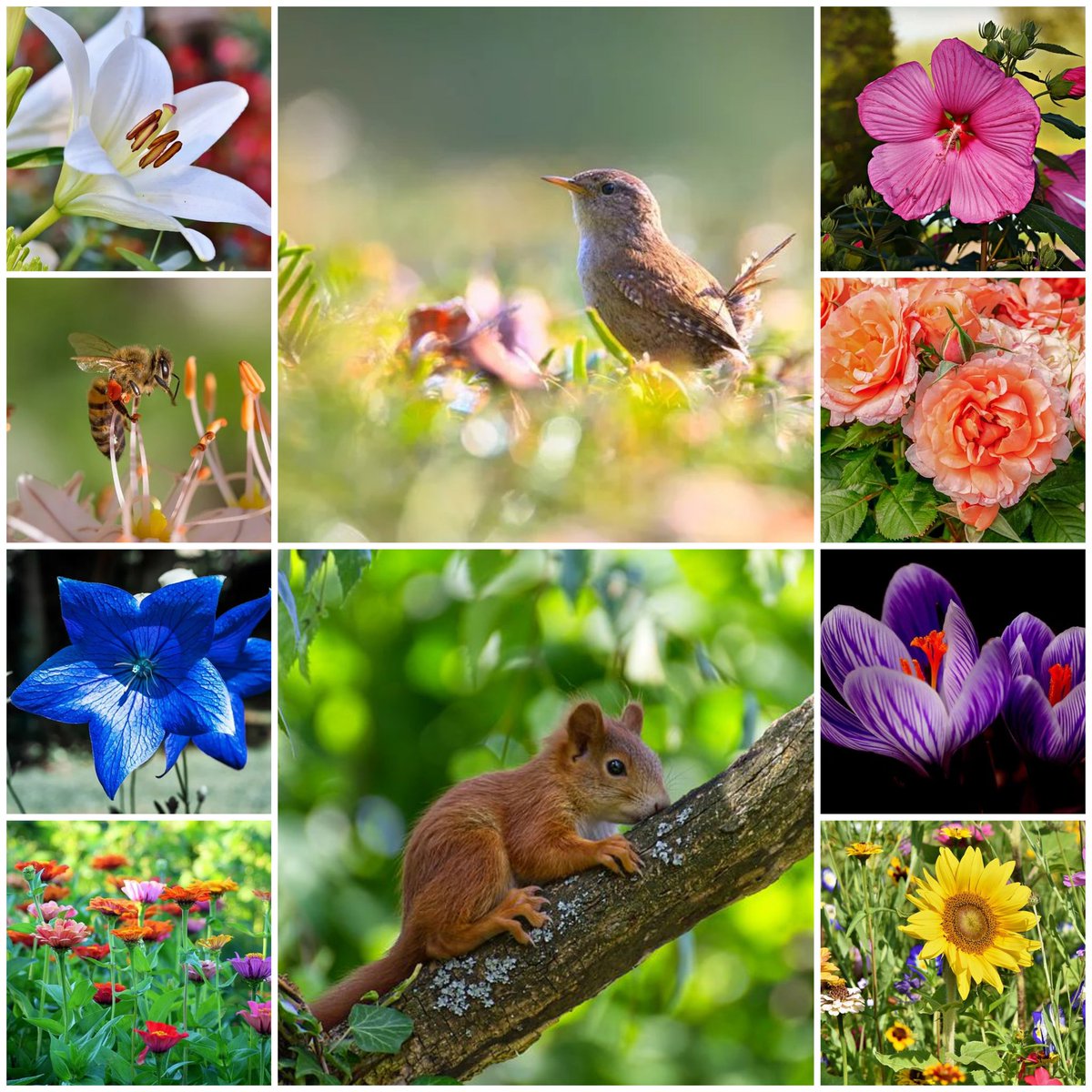 Life is like a garden; we clear, tend, harvest, rest, and start all over again. Selfcare matters. 💕🌹💞
The Gardener By Mary Oliver ( an excerpt) 
Have I lived enough?
Have I loved enough?
Have I considered Right Action enough, have I come to any conclusion? #TuesdayThoughts