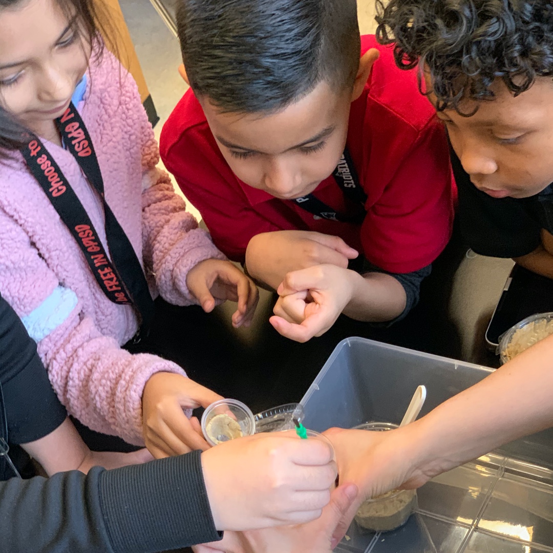 Our second graders prepared habitats for the caterpillars they will be observing over the next several weeks. 🐛🍃🦋