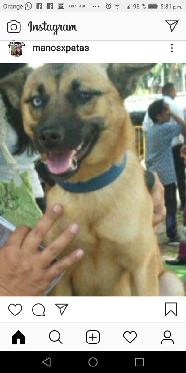 Se busca