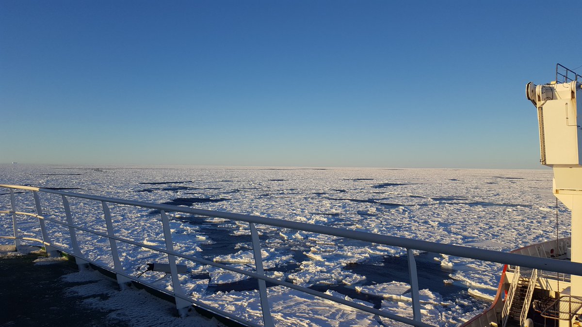 BigelowLab's tweet image. #7daysoffieldwork Day 5: @cathmmit spent last summer surprisingly chilly -- in the Southern Ocean with the @SCALExperiment. She ran a system measuring how light interacts with #phytoplankton in order to help calibrate satellites and improve observations in this remote region.