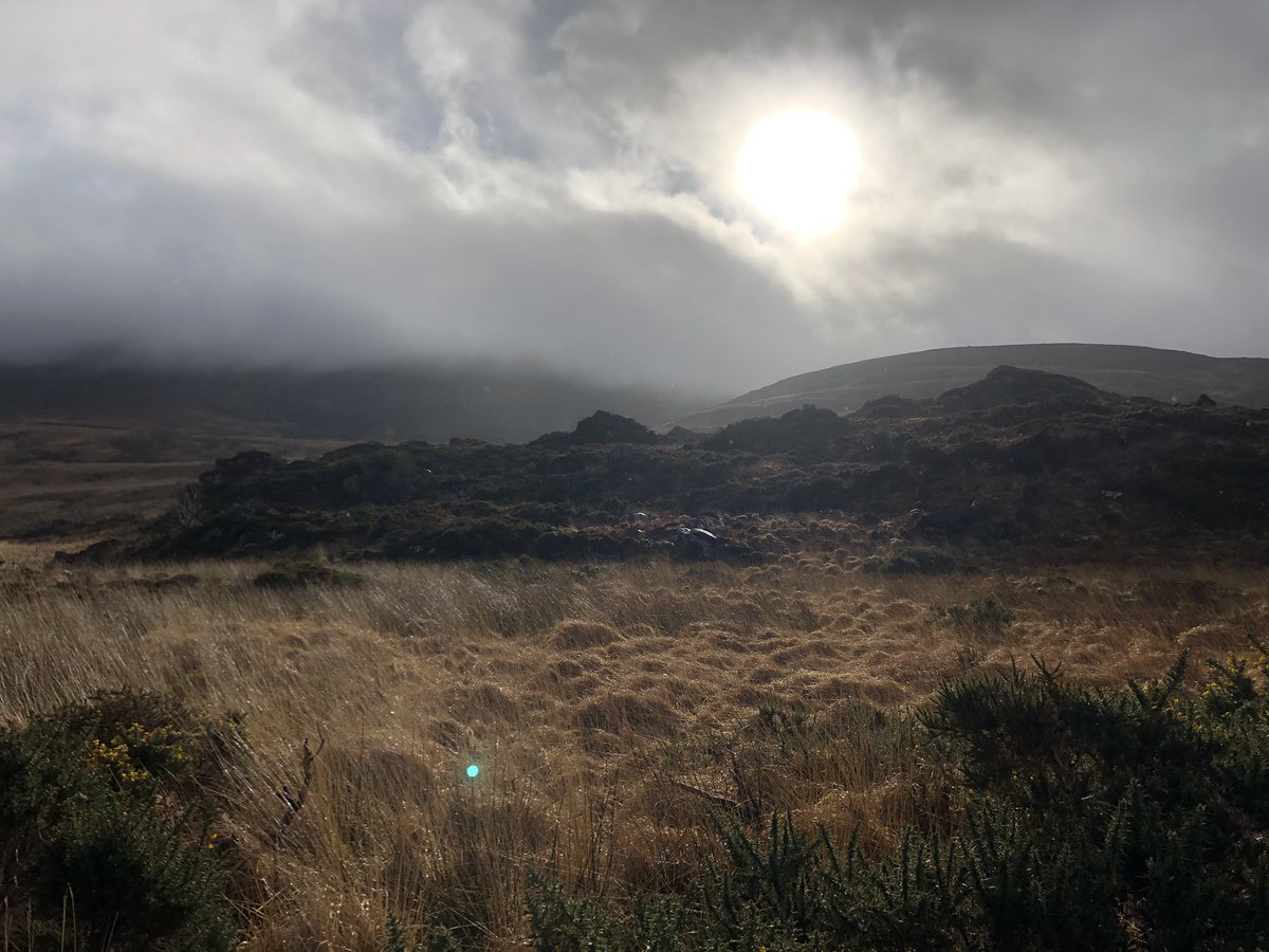 leepace's tweet photo. By the way.... Ireland is stunning. 💚🤍🧡 https://t.co/axfZk925N9