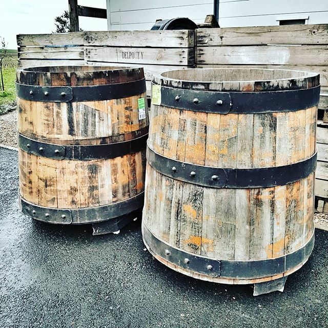 JDubrawska's tweet photo. My gift for me 🤩
This sweeties looks a bit tired but they just get here from Sicily. So happy to have them with me. I have started with this 2 in 2015 my first Maninalto. Today we are together again!!! #happy #maninalto #naturalwine #vinnaturel #wood… https://t.co/OHdiEQJqqU https://t.co/1WVBOaR3HG