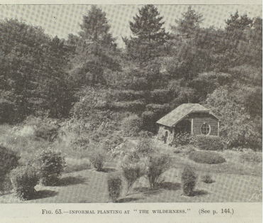 CroydonLibs's tweet photo. Drop into @CroydonLibs #SelsdonLibrary on March 12 between 10 & 4 to find out about MHA The Wilderness, a project to reclaim a lost historic garden in Shirley. Attend a fun & creative workshop in the Children's Library at 2-3.30pm on March 14. For all ages. https://t.co/eVPVAb7iMZ