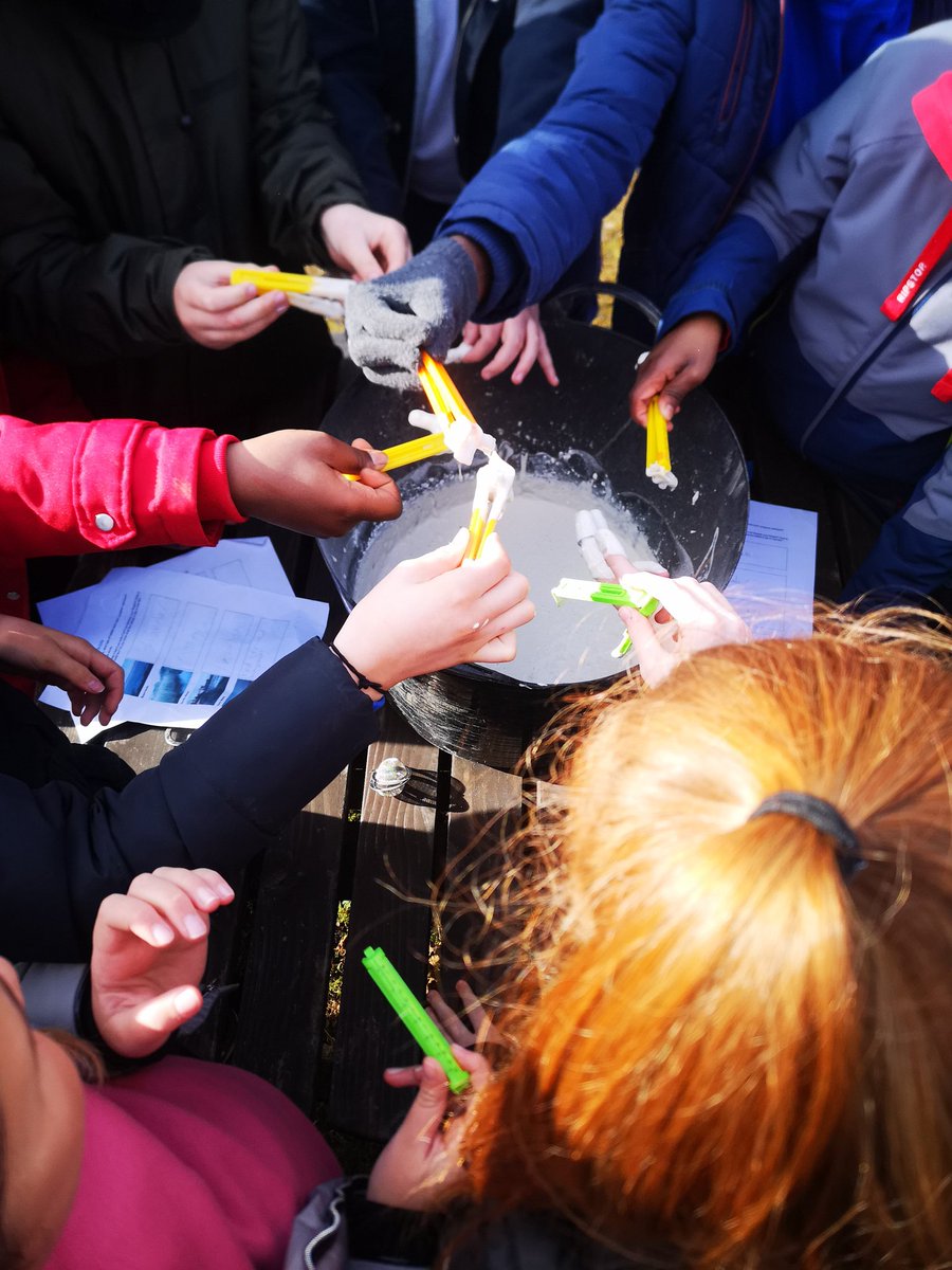 Edinburgh Shoreline tweet media