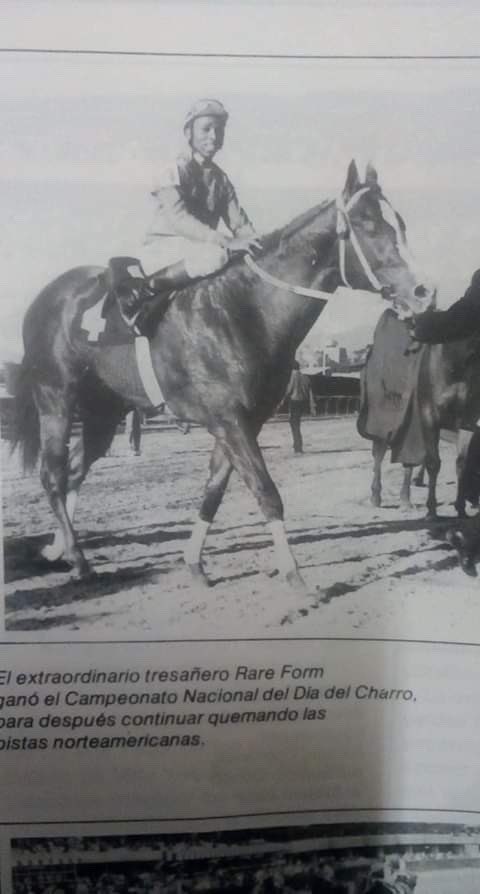 AdolfoRod2's tweet image. RARE FORM QH🏇🏼