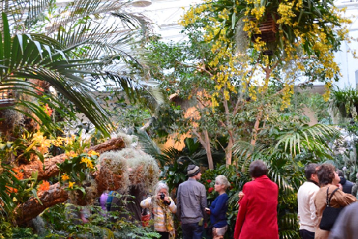 Flowers are everything! 😍 Stop by the <a href="/mobotgarden/">MO Botanical Garden</a> Orchid Show to get your fix. Now through March 22nd. vlsm.io/2h4L
