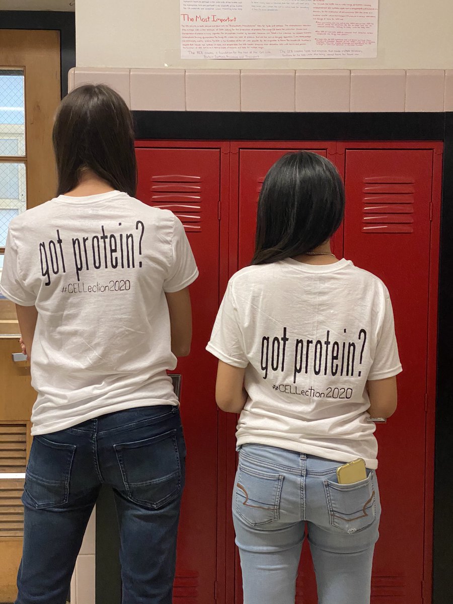 MsDSacco's tweet photo. Way to maintain your campaign! #CELLection2020 #wearebarrons #apbio impressive T shirt design!!👚👩🏻‍🔬@endo_get_rekt https://t.co/yar4Q68N6s