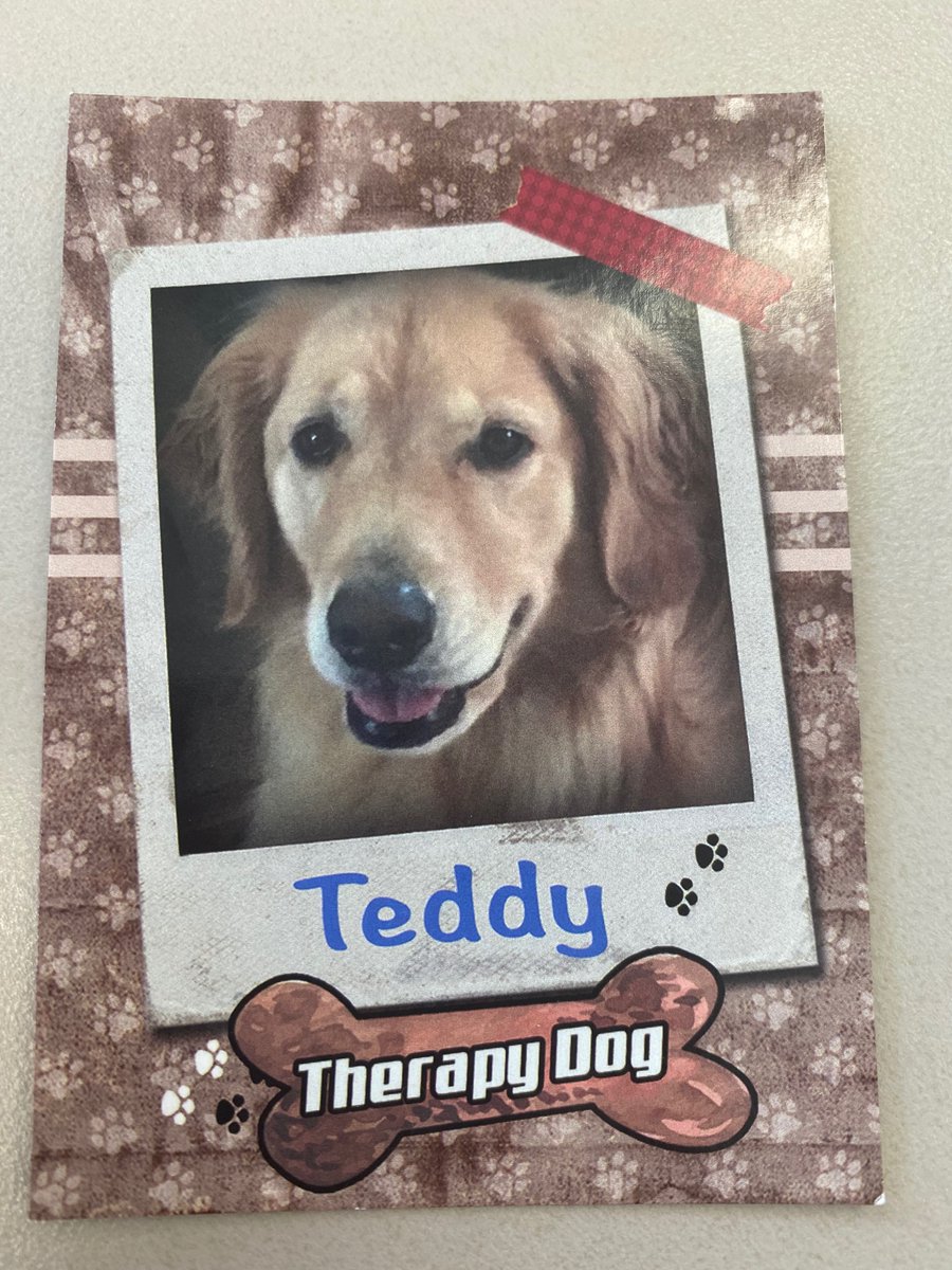 Meet Teddy and Brinley!  They are golden retriever therapy dogs who come out to <a href="/RumRiverElem/">Rum River Elementary</a>  to share joy, peace, and to support the emotional health of our students.  #ahschools #blessed #TogetherWeAreStrong