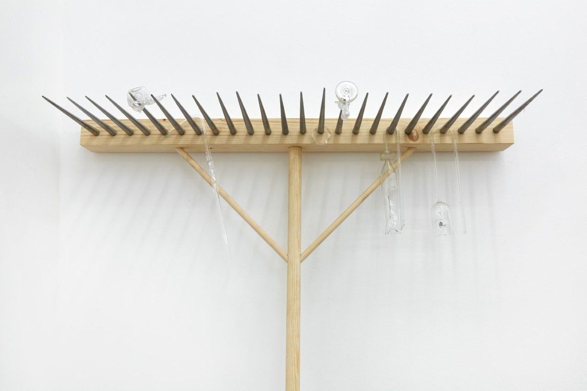 Amanda Wilkinson tweet media