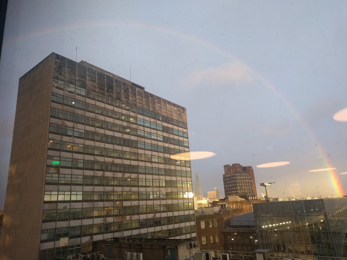 codingjose's tweet image. Hi rainbow! 👋🌈