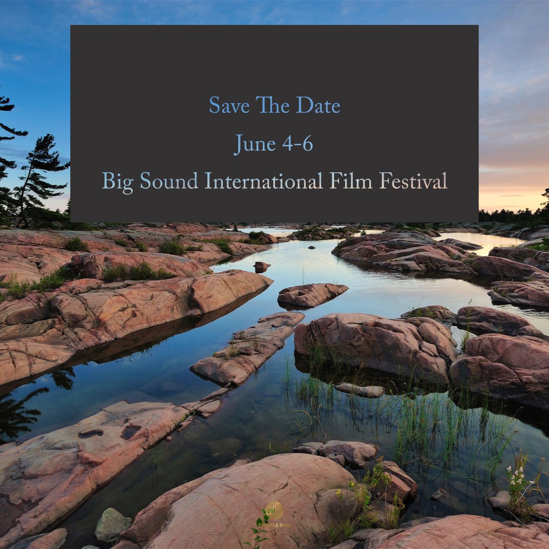 Big Sound International Film Festival tweet media