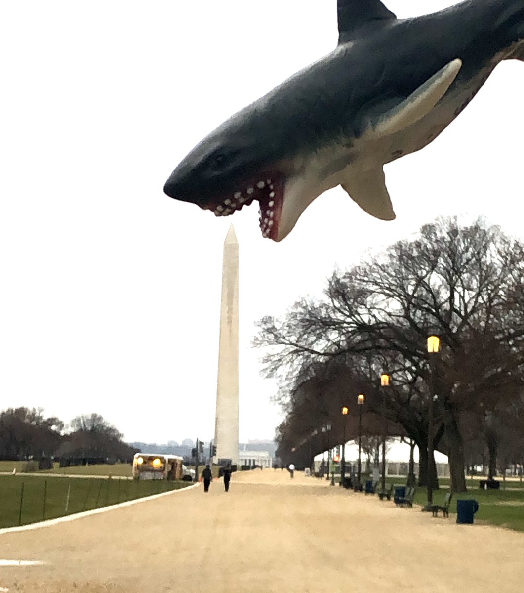 OSU Student Government Assoc. tweet media