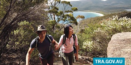 Tourism Research tweet media
