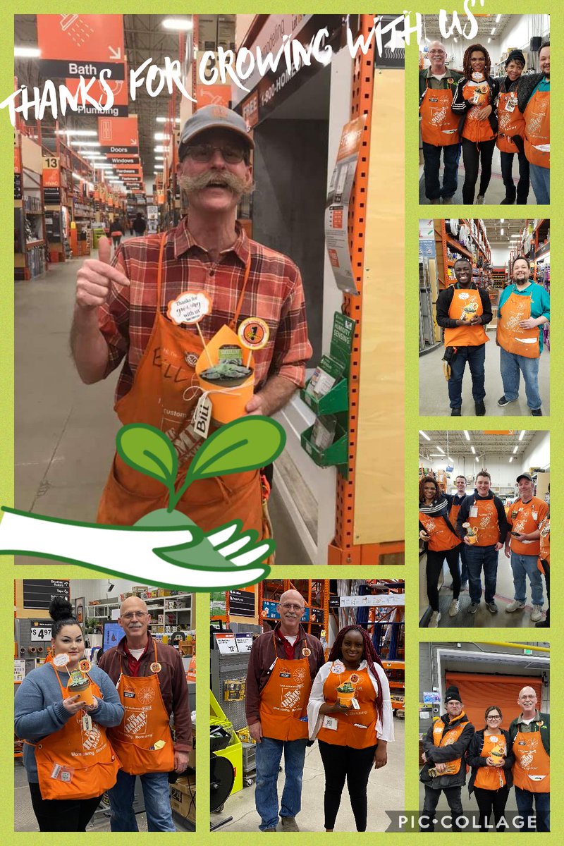 Shana Ferreira tweet media