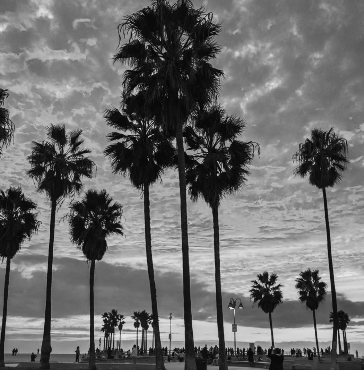 oceanrebel's tweet photo. Palm trees and sunsets never get old.
#ocean #beachvibes #rebel #oceanrebel #beachlife #boatinglife #dogsofinsta #cutepuppy #obsessed #palmsprings #oceanpup #rebeldog #adrenaline #fundogs #labeach #fashionblogger #fashionabledogs #travelphotography #photooftheday #boatingbabes https://t.co/ShdUMHvW3n
