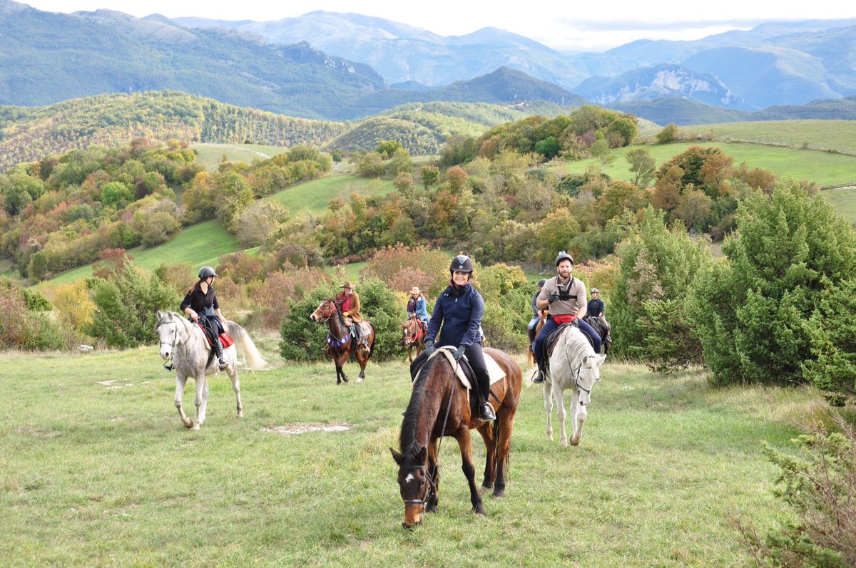 InfoLasomma's tweet photo. Life is good here in Umbria! #Agriturismolasomma #holiday  #ridingholiday #umbria #umbriaturism #spoleto #italy #wine #nature  🍾🏇🏻☀️🏡 
https://t.co/vpaTrSth6U https://t.co/lMaDL4v4mG