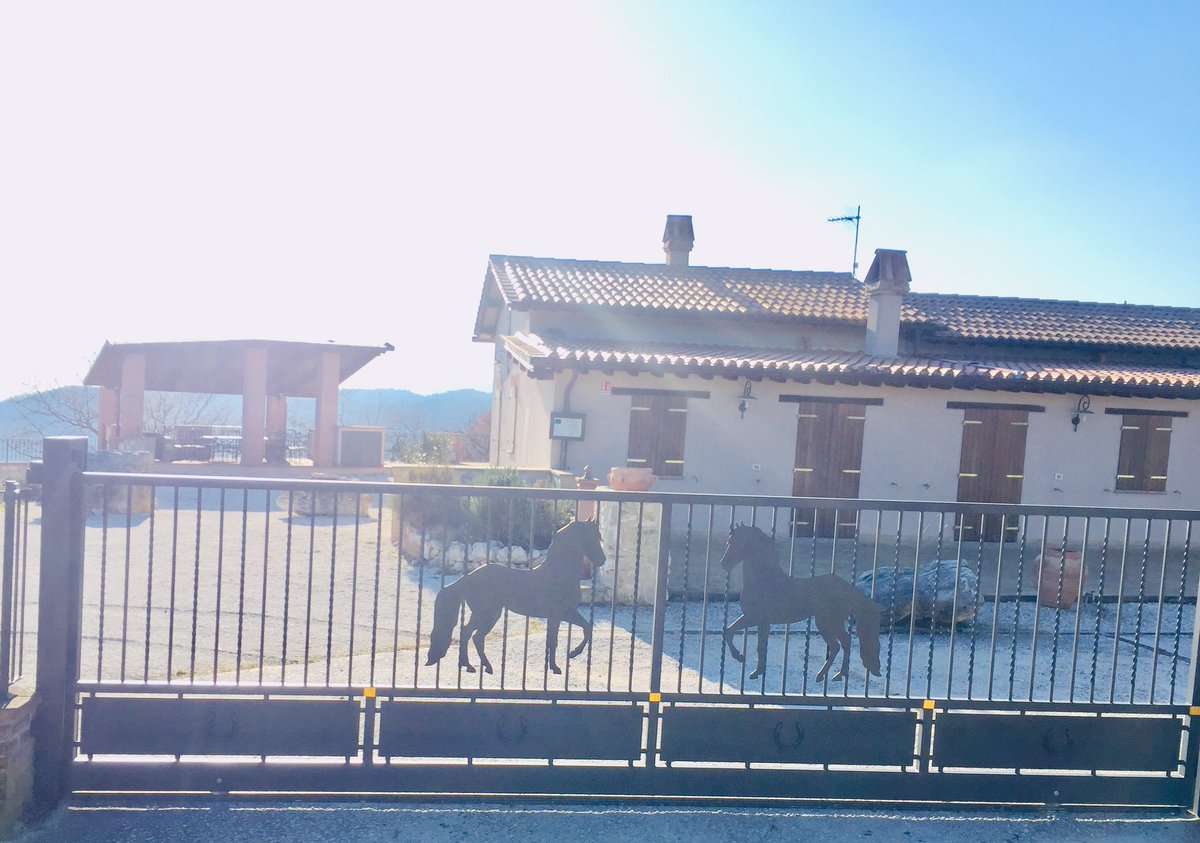 InfoLasomma's tweet photo. Life is good here in Umbria! #Agriturismolasomma #holiday  #ridingholiday #umbria #umbriaturism #spoleto #italy #wine #nature  🍾🏇🏻☀️🏡 
https://t.co/vpaTrSth6U https://t.co/lMaDL4v4mG