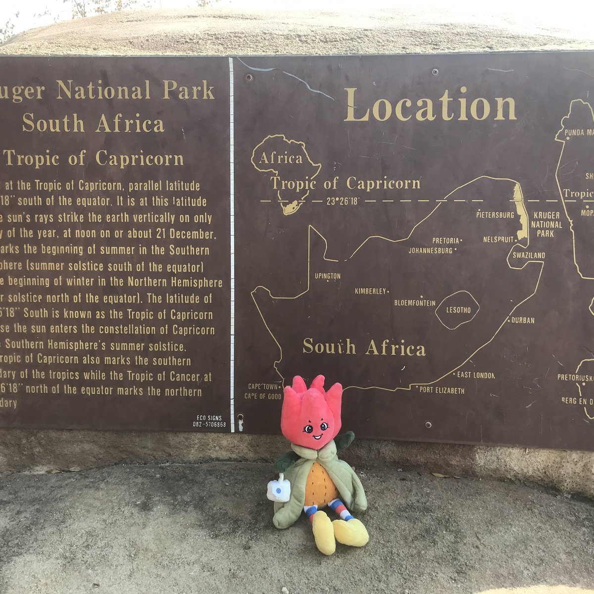 It’s nice and warm at the Tropic of Capricorn!
⚘🌷⚘
#tillytulp #globetrotter #tulip #tulips #netherlands #Holland #flowergirl #tulipfest #tulipfestival #kids #books #plush #plushies #gift #travel #traveldoll #wanderlust #souvenir #visitholland #トルペン #塔尔彭 #southerntropic