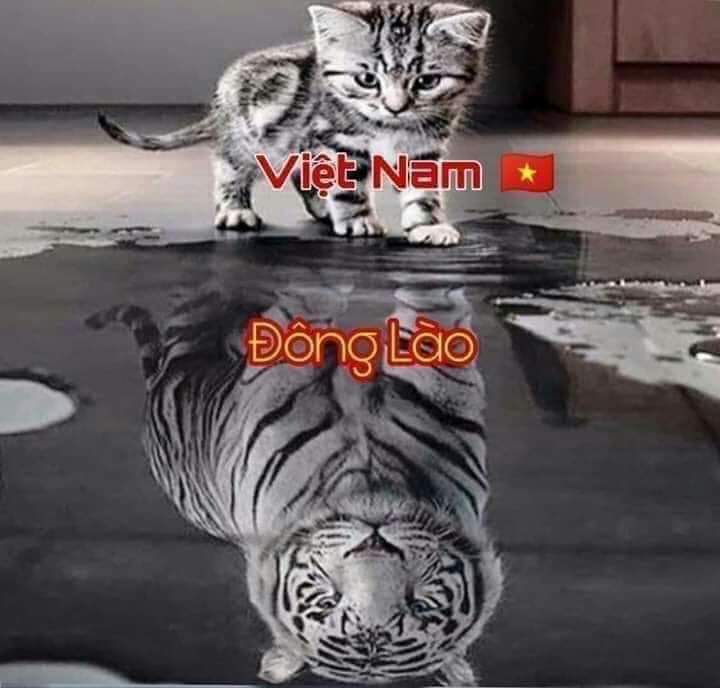 HiMin92980129's tweet photo. Làm bạn chứ đừng làm má người ta #ApologizeToVietnam
#Vietnamdidwell
#KoreansStopLying
#표준말투와_내말투를_비교해보자
Đảng và nước muôn năm! 
Đông Lào tiến lên!!!!! https://t.co/lDAIy1KOAN