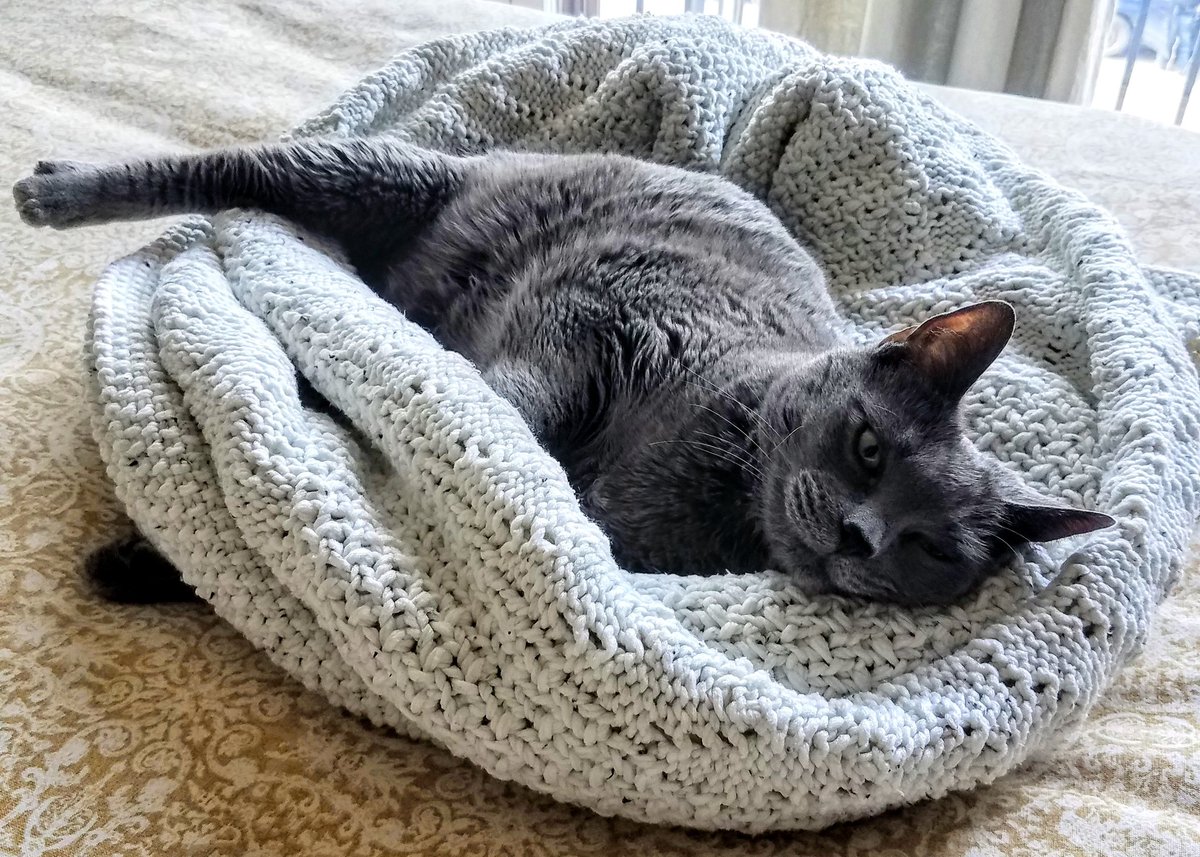 PickALZ's tweet photo. Don't be lazy like me. It's time to register for #AAIC20. Make your way to Amsterdam to join this global forum to advance dementia science. https://t.co/NhqmKEUHSD #ENDALZ #CatsLoveScience @ISTAART https://t.co/S7Rqal7qg2